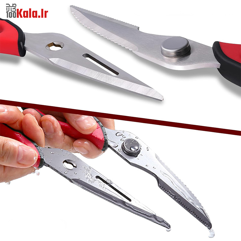 d982db8cda86db8c d8a2d8b4d9bed8b2d8aed8a7d986d987 8 daa9d8a7d8b1d987 68c452cecf331