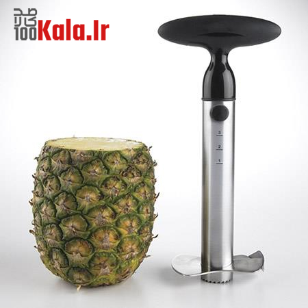 پوست کن آناناس 9 d9bed988d8b3d8aa daa9d986 d8a2d986d8a7d986d8a7d8b3 68c454b83a20f