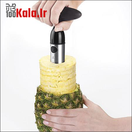 پوست کن آناناس 10 d9bed988d8b3d8aa daa9d986 d8a2d986d8a7d986d8a7d8b3 68c454bb2c02f