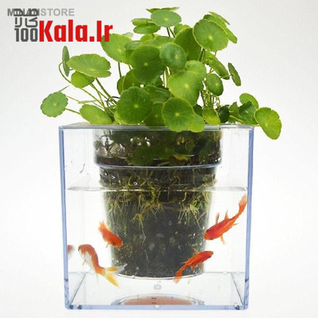 گلدان آکواریومی سون گرین (7GREEN) 12 daafd984d8afd8a7d986 d8a2daa9d988d8a7d8b1db8cd988d985db8c d8b3d988d986 daafd8b1db8cd986 7green 68c428e0f1ddd