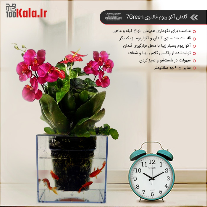 گلدان آکواریومی سون گرین (7GREEN) 10 daafd984d8afd8a7d986 d8a2daa9d988d8a7d8b1db8cd988d985db8c d8b3d988d986 daafd8b1db8cd986 7green 68c428e52b009