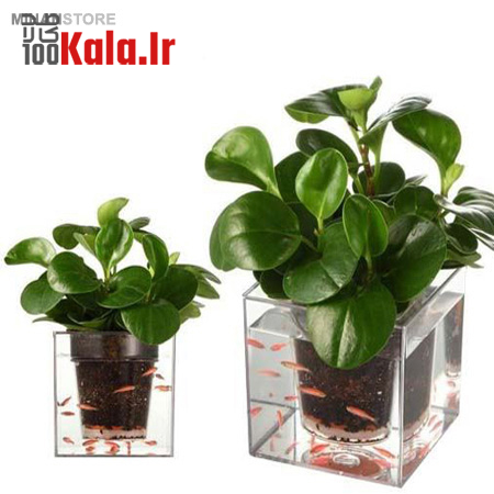 گلدان آکواریومی سون گرین (7GREEN) 14 daafd984d8afd8a7d986 d8a2daa9d988d8a7d8b1db8cd988d985db8c d8b3d988d986 daafd8b1db8cd986 7green 68c428e80f758