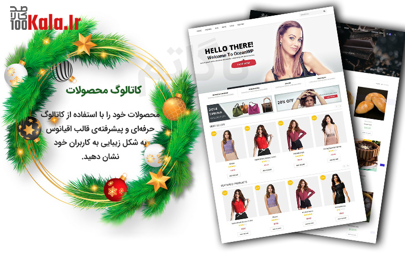 قالب وردپرس اقیانوس | قالب چند منظوره OceanWP 48 5e008293cd6fb500673133c0.jpg