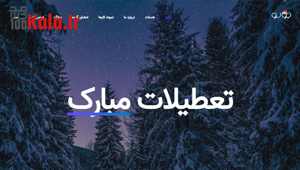 قالب شرکتی بولو