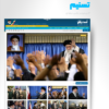 قالب ایرانی تسنیم - Image 2