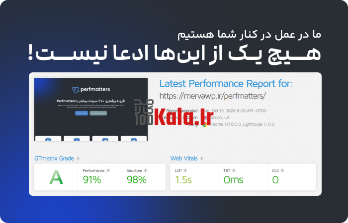 افزونه پرفمترز | پلاگین افزایش سرعت Perfmatters 3 670d0d9ab42754922e0b7782.png