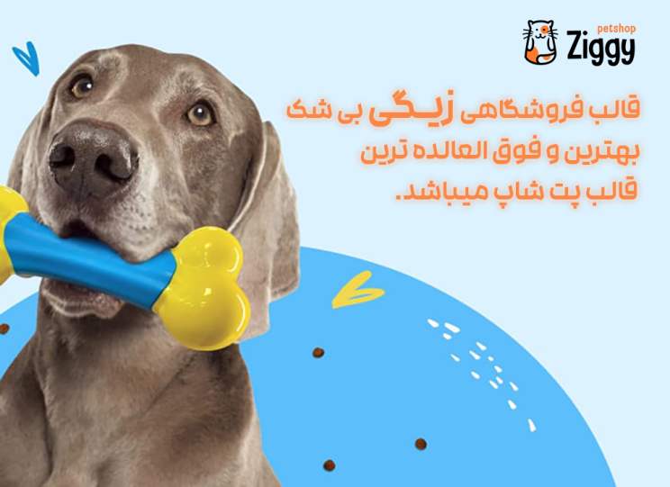 قالب زیگی | قالب فروشگاهی Ziggy 2 666eebfe43fcd6071f040337.png