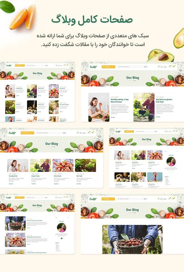 61a783b97a6f010fbc7d2fd6.png
