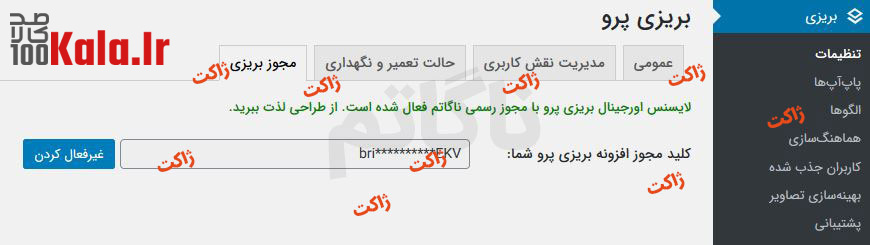 افزونه صفحه ساز بریزی پرو | Brizy Pro 13 5f95be819b95be1c1d7f24ba.JPG