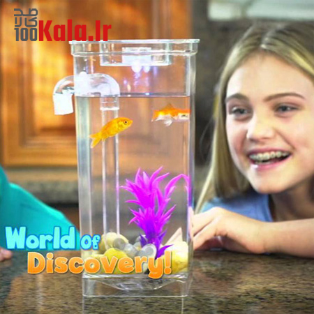 آکواریوم جادویی Fun Fish 3 آکواریوم جادویی Fun Fish - Image 3