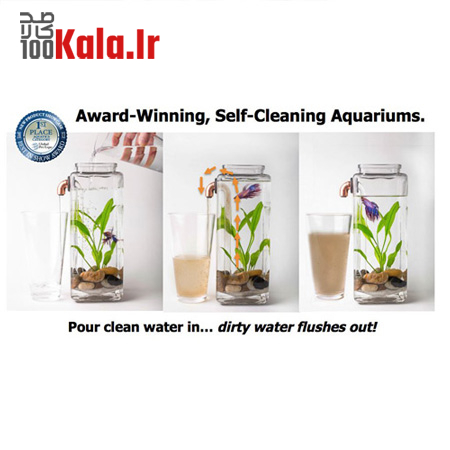 آکواریوم جادویی Fun Fish 7 آکواریوم جادویی Fun Fish - Image 7