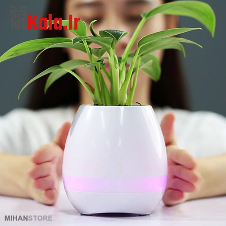 اسپیکر و گلدان موزیکالی Tokqi 7 اسپیکر و گلدان موزیکالی Tokqi - Image 7