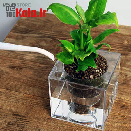 گلدان آکواریومی سون گرین (7GREEN) 1 گلدان آکواریومی سون گرین (7GREEN)