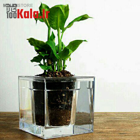 گلدان آکواریومی سون گرین (7GREEN) 5 گلدان آکواریومی سون گرین (7GREEN) - Image 5